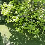 Marel-apartamenty W Parku- Rydz Zdroj *