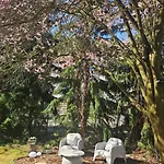 Marel-apartamenty W Parku- Rydz Zdroj * Polanica-Zdrój