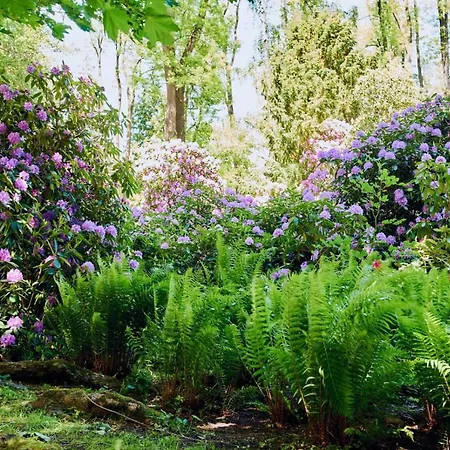 Rydz Zdrój Apartamento Polanica-Zdrój