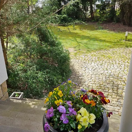 W Parku- Rydz Zdroj * Polanica-Zdrój