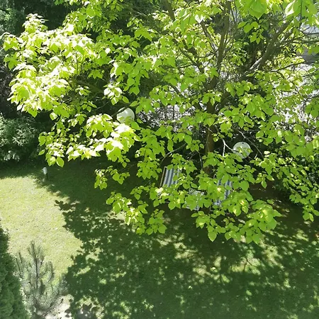 Marel-apartamenty W Parku- Rydz Zdroj *