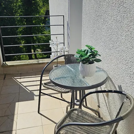 Apartment Marel- W Parku- Rydz Zdroj Polanica-Zdroj