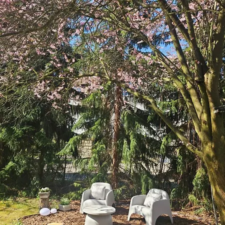 Rydz Zdrój * Polanica-Zdrój