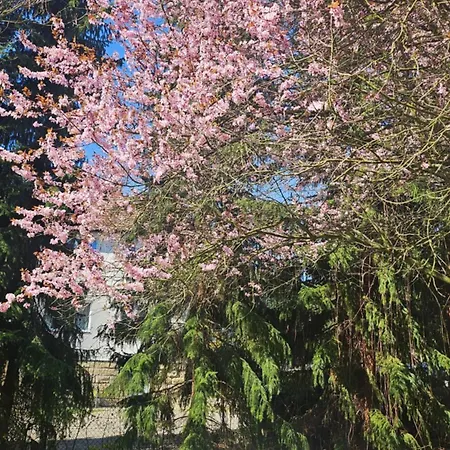 Rydz Zdrój Apartament *