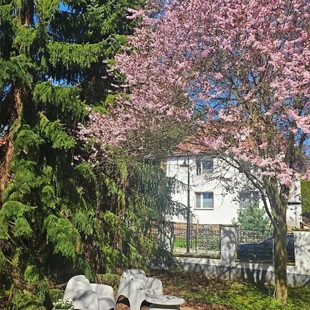 Marel- W Parku- Rydz Zdroj Apartment