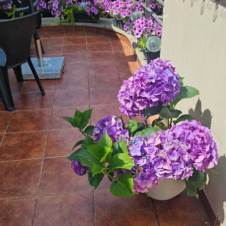 Lejlighed W Parku- Rydz Zdroj *