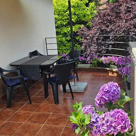 Apartamenty W Parku- Rydz Polanica Zdroj - Marel *