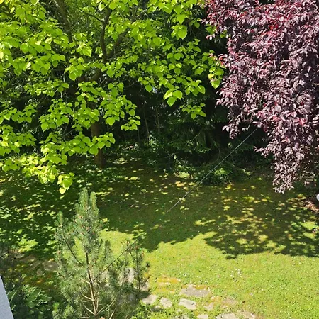 Apartamenty W Parku- Rydz Polanica Zdroj - Marel