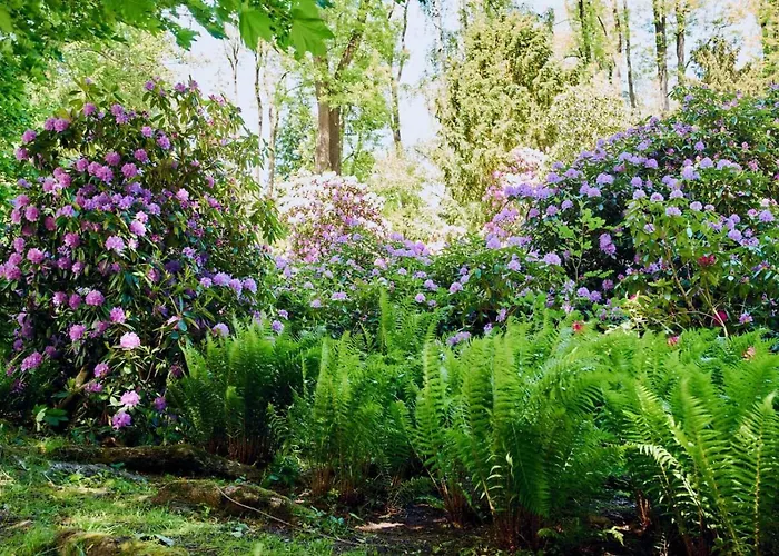Rydz Zdrój Apartamento Polanica-Zdrój