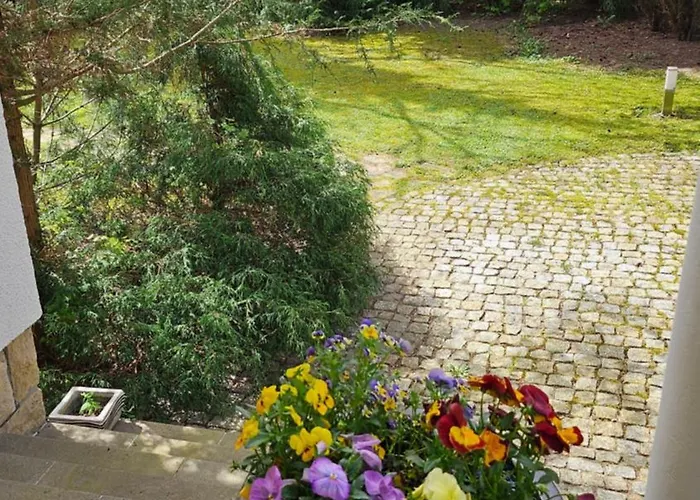 Rydz Zdrój * Polanica-Zdrój