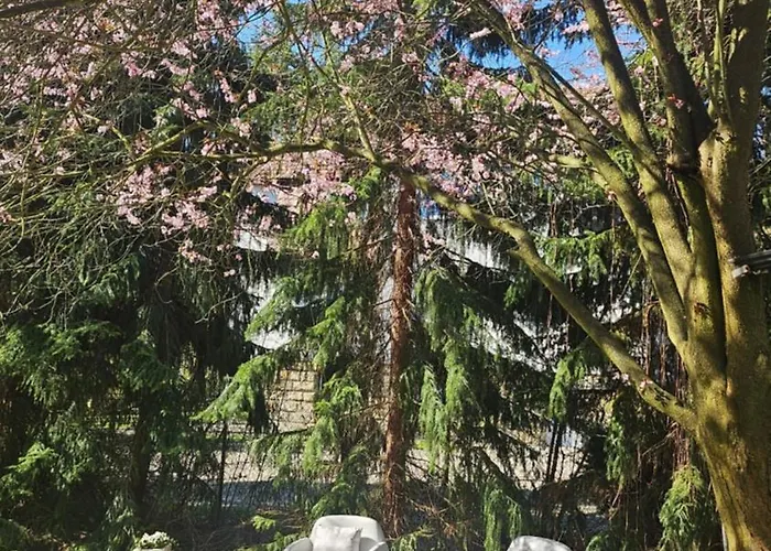 Marel-apartamenty W Parku- Rydz Zdroj * פולניסה-ז'דוז'