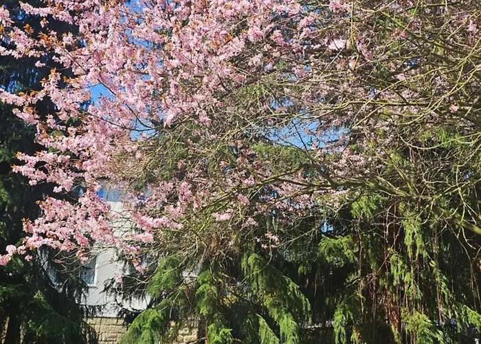 Rydz Zdrój Apartamento *