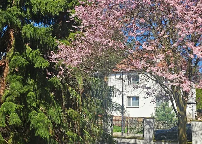 Rydz Zdrój Apartamento