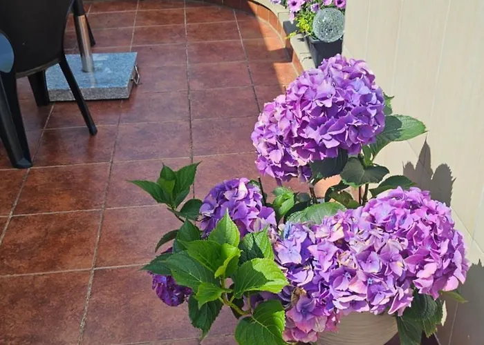 Apartamento Rydz Zdrój *