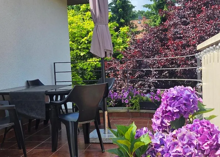 Rydz Zdrój Polanica-Zdrój